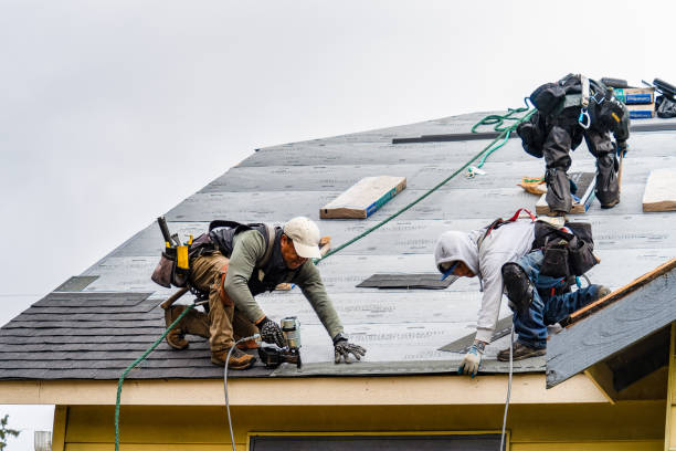 Professional Gutter Installation technician working in Astoria, IL